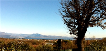 Immagine Prodotto