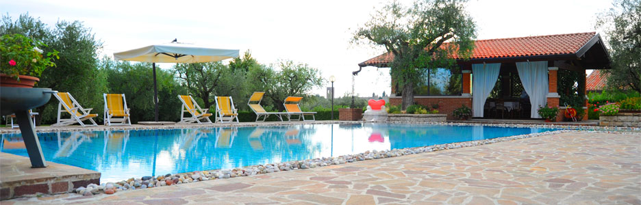 Header Gallery Image