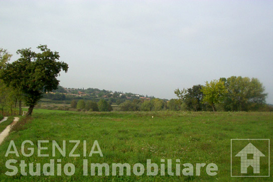 Immagine Prodotto
