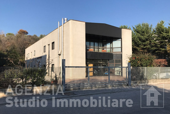 Immagine Prodotto