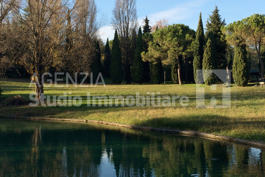 Immagine Prodotto